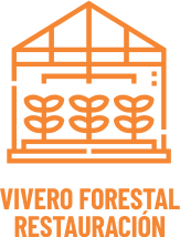 Vivero Forestal 8