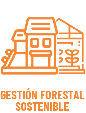 Gestion Forestal 1