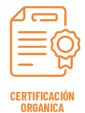 Certificacion Organica 1